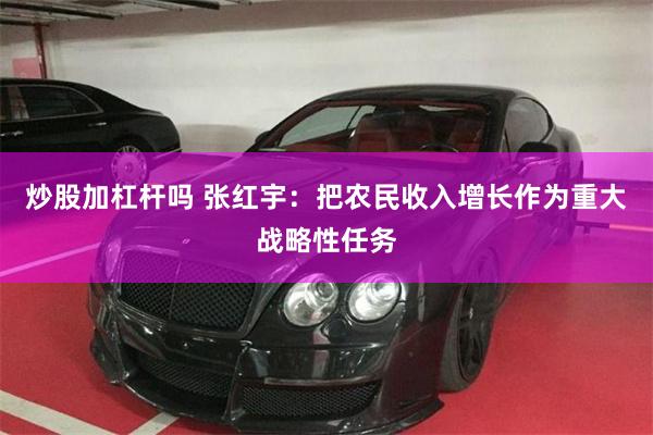 炒股加杠杆吗 张红宇:把农民收入增长作为重大战略性任务