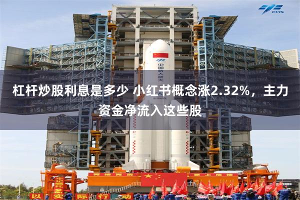 杠杆炒股利息是多少 小红书概念涨2.32%，主力资金净流入这些股
