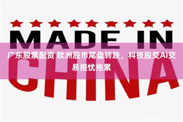 广东股票配资 欧洲股市尾盘转跌，科技股受AI交易担忧拖累