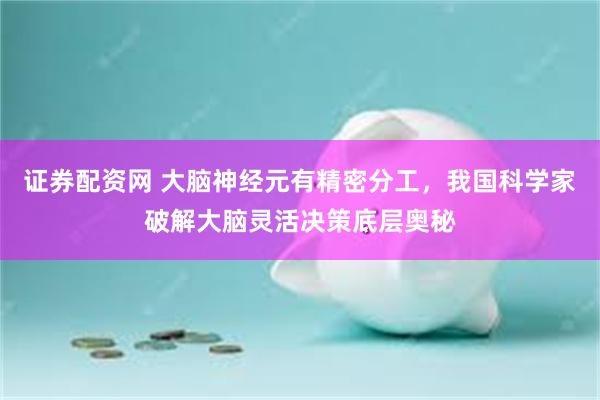 证券配资网 大脑神经元有精密分工，我国科学家破解大脑灵活决策底层奥秘