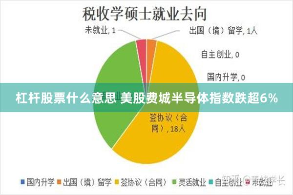 杠杆股票什么意思 美股费城半导体指数跌超6%